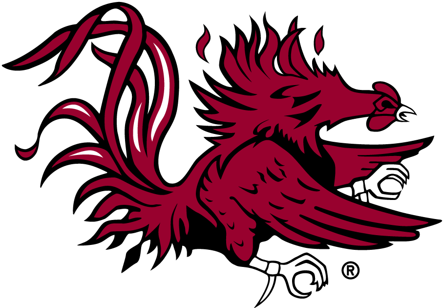 South Carolina Gamecocks 1983-Pres Secondary Logo diy iron on heat transfer